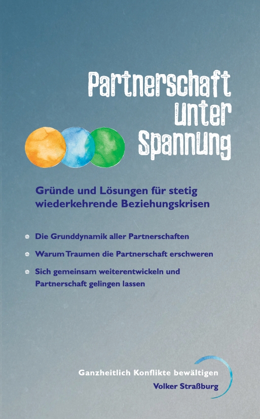 Partnerschaft unter Spannung Buch
